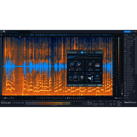 RX 11 Advanced Update (licence) Izotope