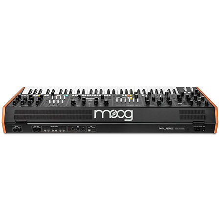 Muse Moog