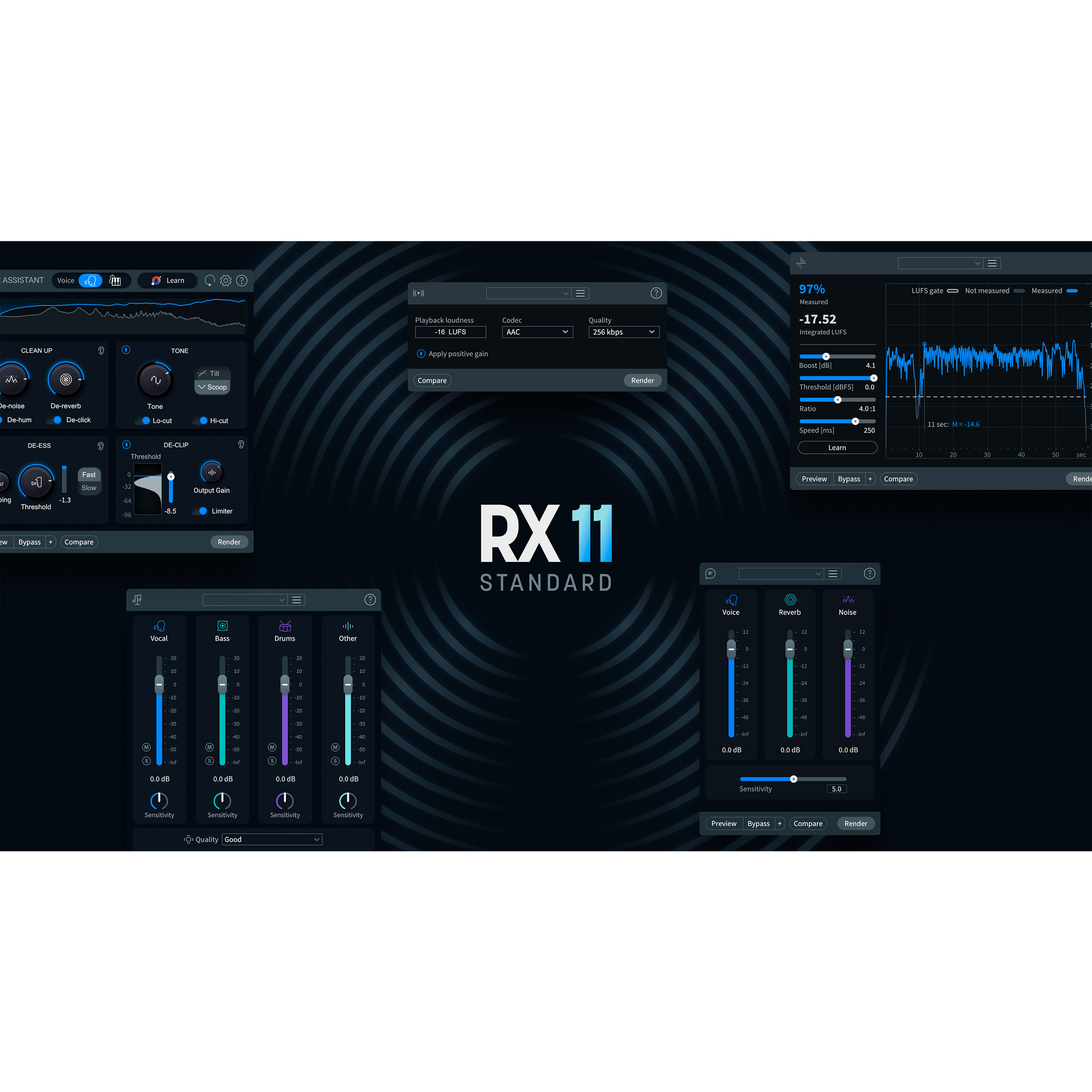 Izotope RX 11 Standard (licence)