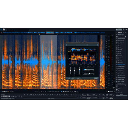 RX 11 Advanced Upg RX Std (licence) Izotope