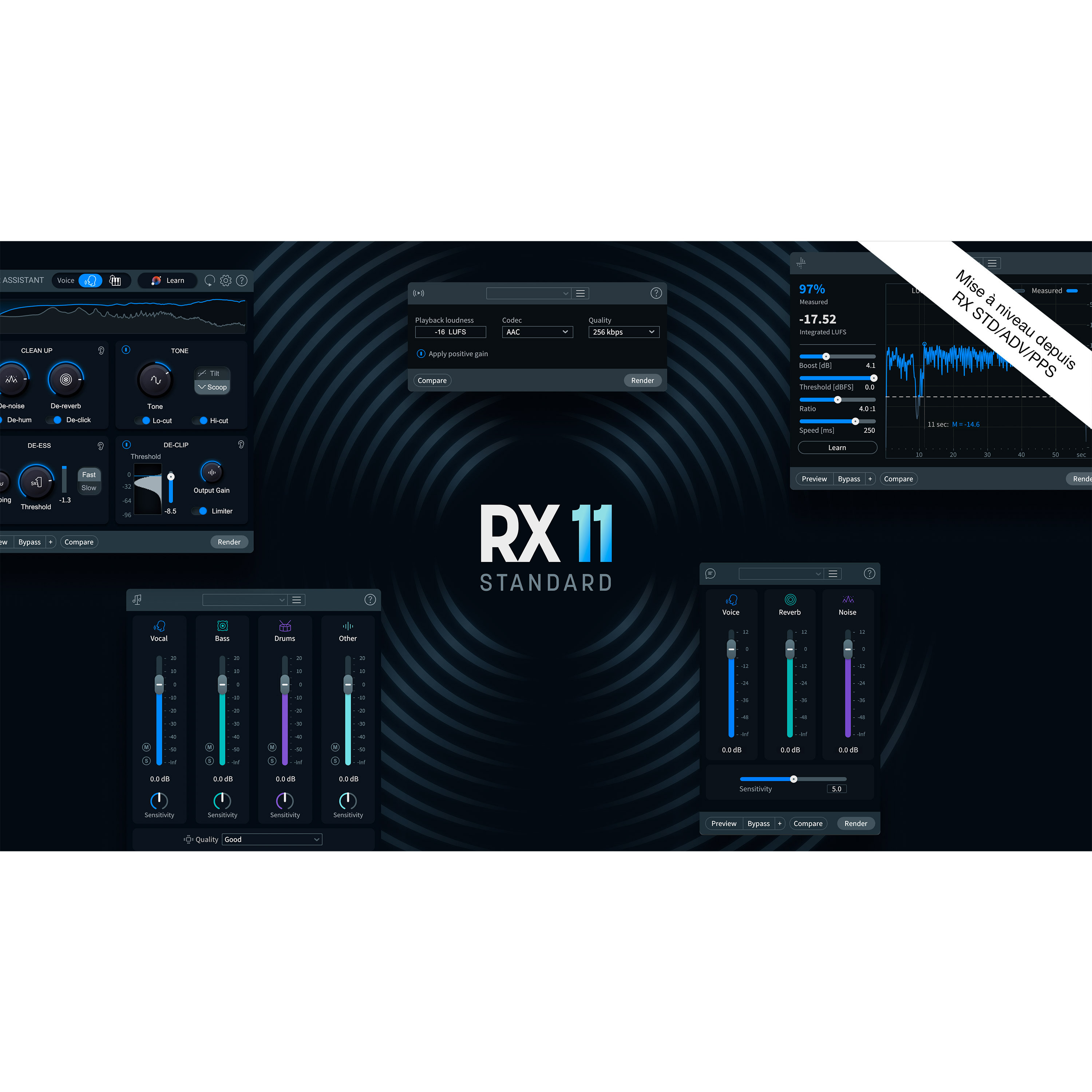 Izotope RX 11 Standard Upg RX Std/Adv/PPS (licence)