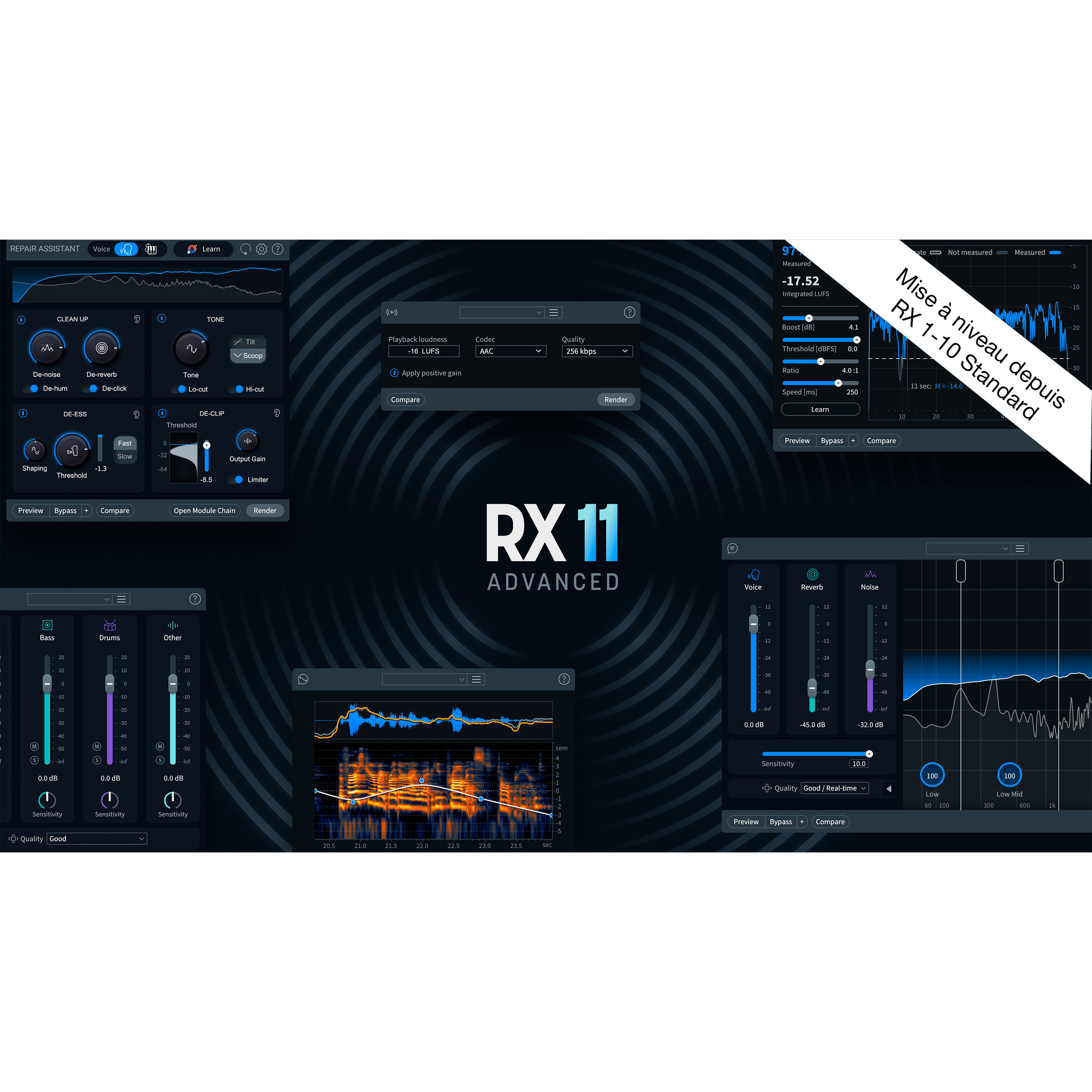 Izotope RX 11 Advanced Upg RX Std (licence)