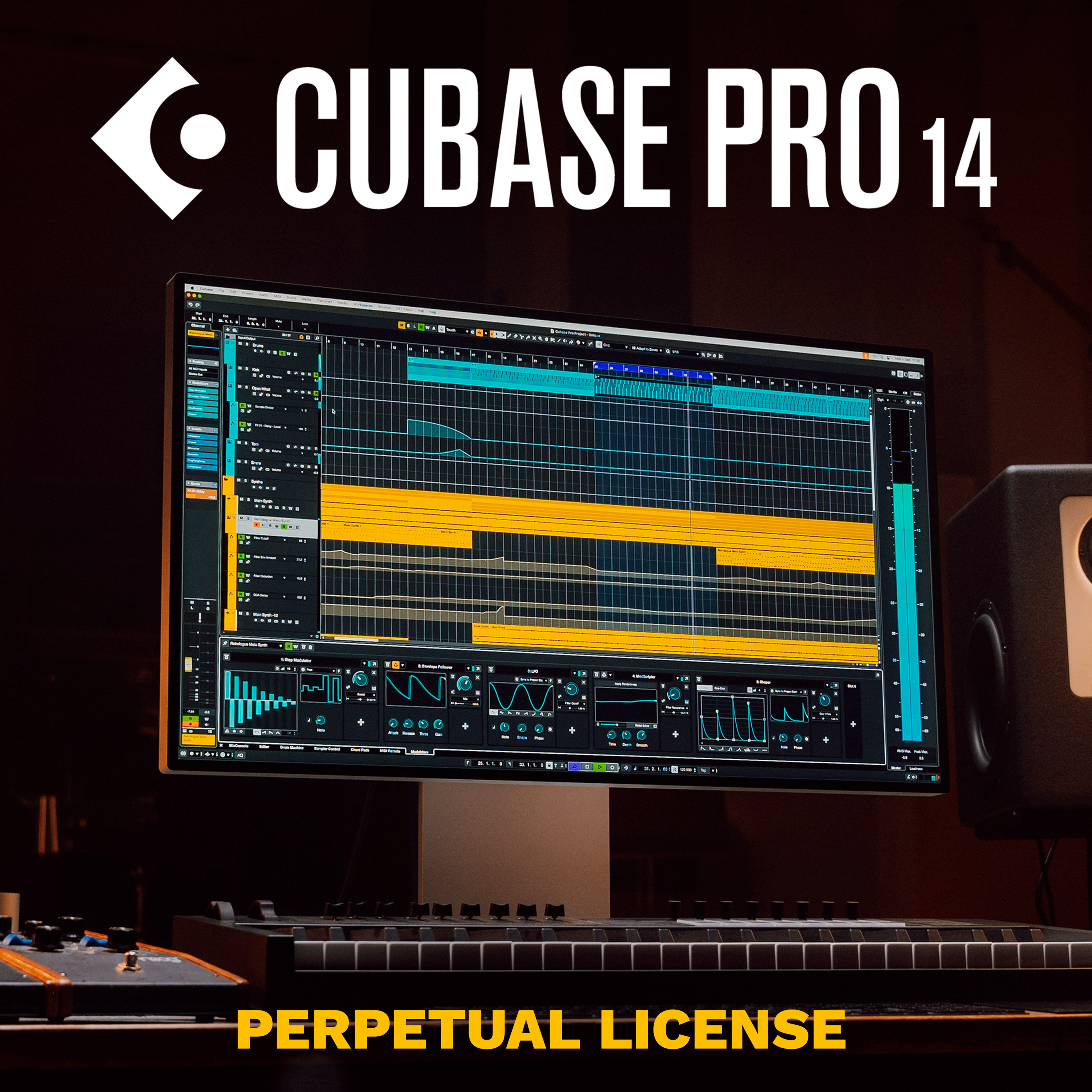 Steinberg Cubase Pro 14 (licence)