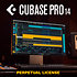 Cubase Pro 14 (licence) Steinberg